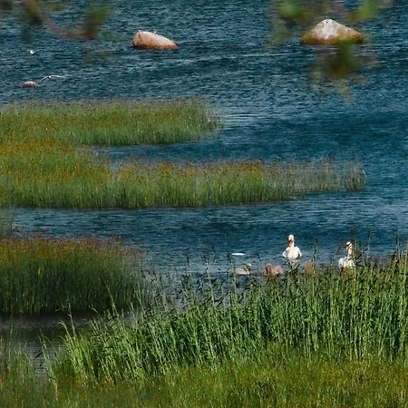 Of Nature Energy On Prangli Island