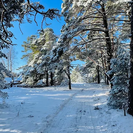 Of Nature Energy On Prangli Island Vikendica