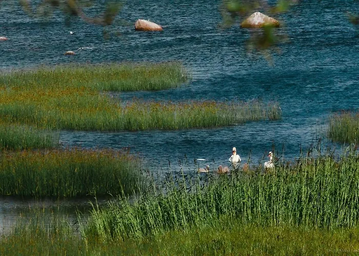 Of Nature Energy On Prangli Island